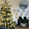 European Fir® Tree