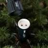 Sanibel Spruce® Tree