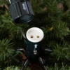 California Baby Redwood® Tree