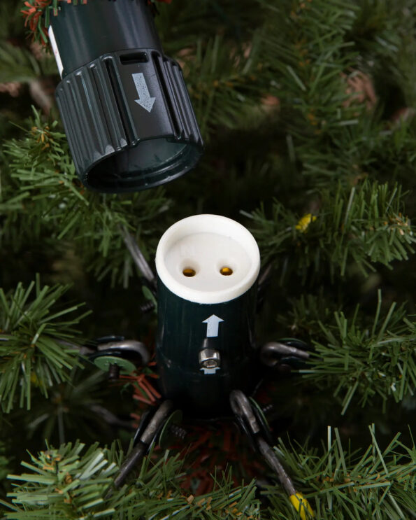 Easy-Plug_SpFeat-25 Bellevue Spruce