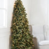flatback tree