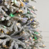 Frosted Fraser Fir®