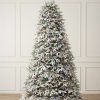 frosted fraser fir tree