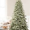 Frosted Fraser Fir®