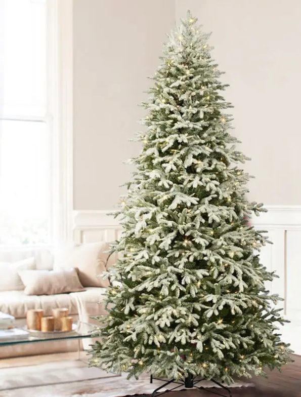 Frosted Fraser Fir®