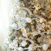 Frosted Fraser Fir®