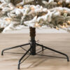 Frosted Fraser Fir®