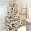Frosted Fraser Fir®