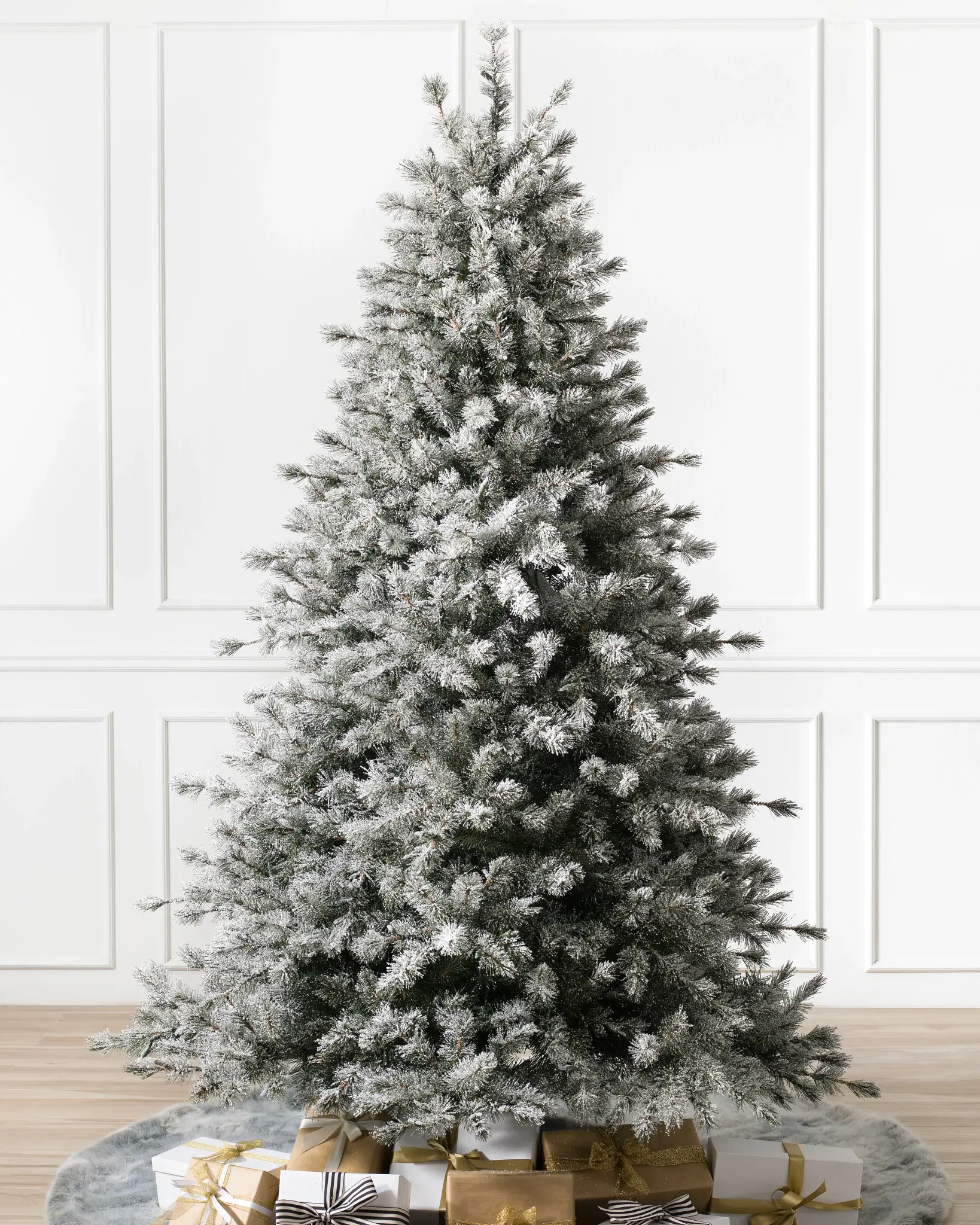 Sugar pine tree