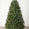fraser fir tree