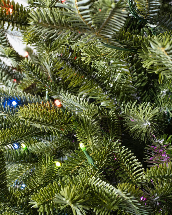Fraser Fir® Tree
