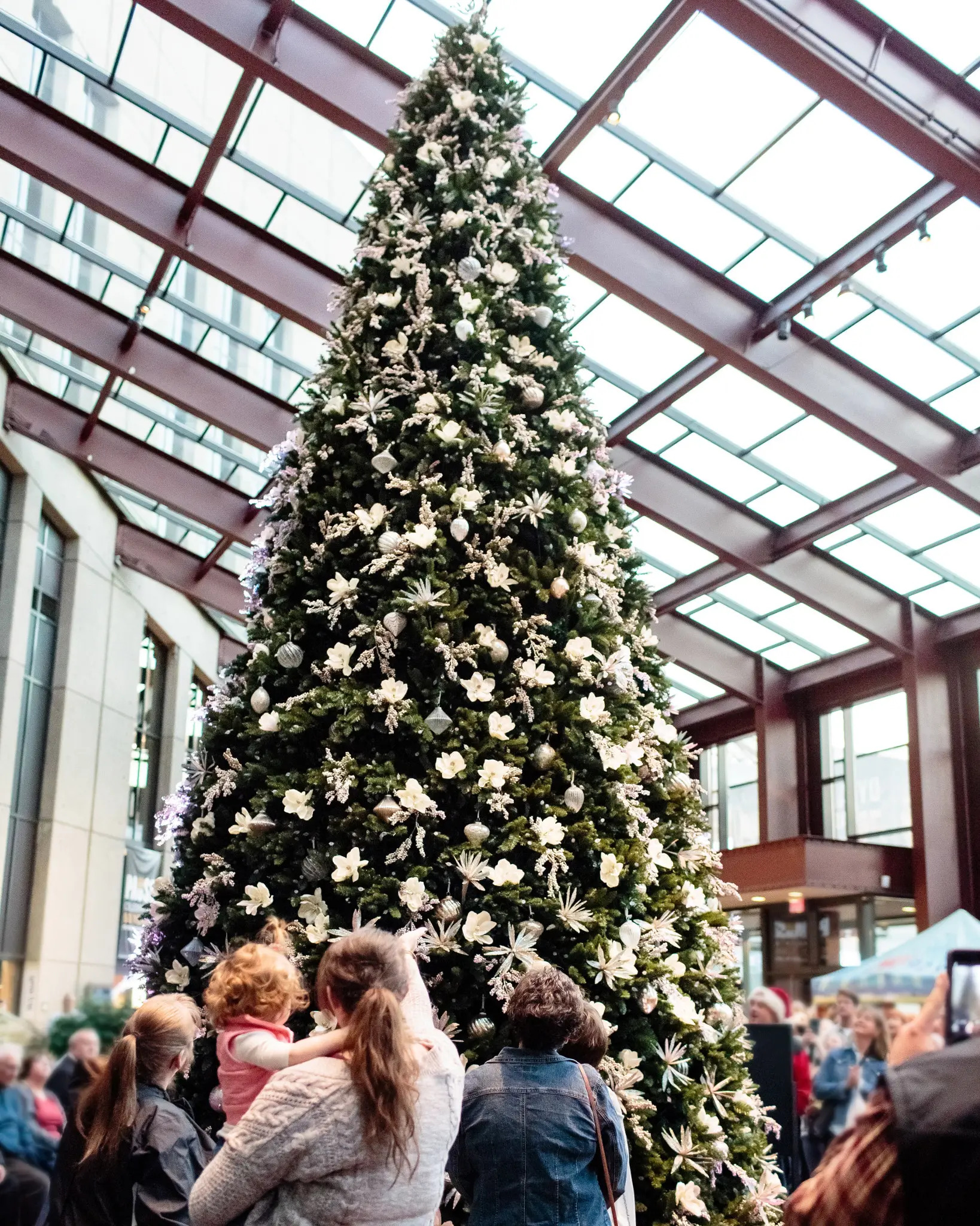 rockefeller pine tree