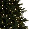 Rockefeller Pine