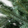 Mariana Spruce®
