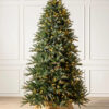 Mariana Spruce®
