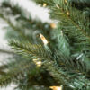 Mariana Spruce®