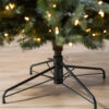 Mariana Spruce®