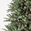 Mariana Spruce®