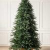 spruce tree