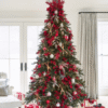 California Baby Redwood® Tree