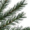 Rocky Mountain Pine