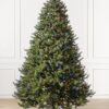 Rocky Mountain Pine