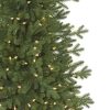 Red Spruce Slim®