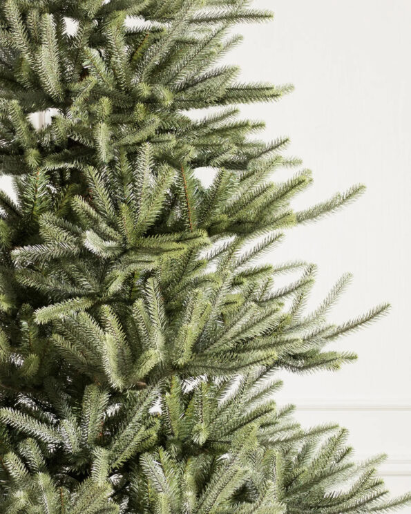 SAN-T-UK_Sanibel-Spruce_Unlit_Closeup-40 Sanibel Spruce® Tree