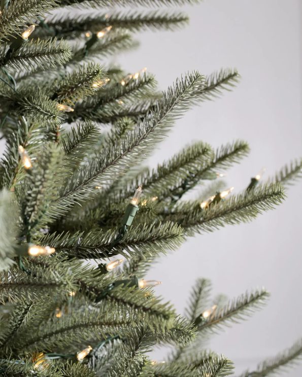 SAN-T_Sanibel-Spruce_LEDCA_Closeup-10 Sanibel Spruce® Tree