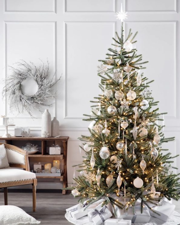 SAN-T_Sanibel-Spruce_Lifestyle-50 Sanibel Spruce® Tree