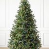 Saratoga Spruce® Tree