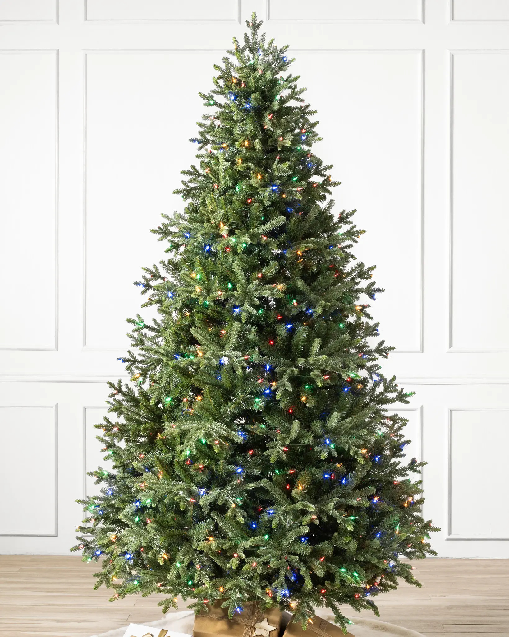 spruce tree