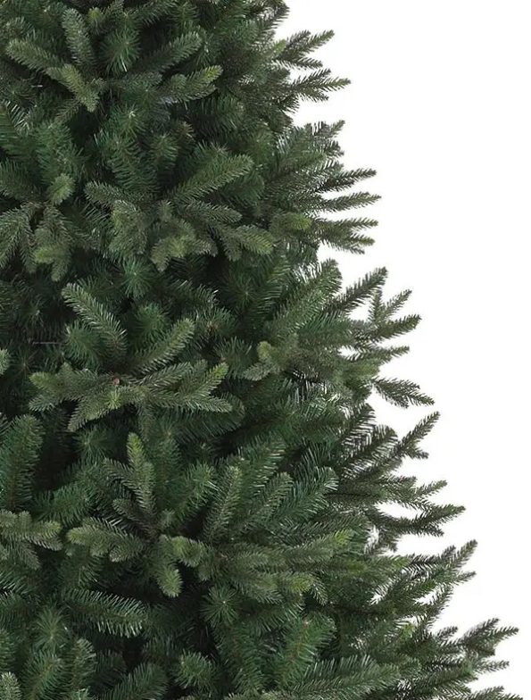 Saratoga Spruce® Tree