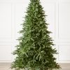 Saratoga Spruce® Tree