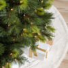 Scotch Pine