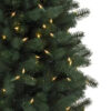 slim tree