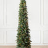 slim tree