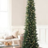 slim tree