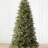 blue spruce tree