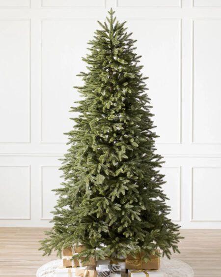 blue spruce tree
