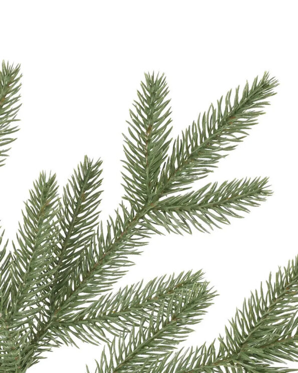 STR-T_Stratford-Spruce_Detail Stratford Spruce®