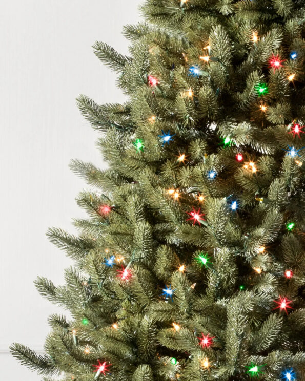 VWS-T_Vermont-White-Spruce-Tree_LEDCPLUSC_Closeup Vermont White Spruce®