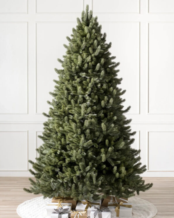 VWS-T_Vermont-White-Spruce-Tree_Unlit_SSC-40 Vermont White Spruce tree