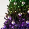 Vermont White Spruce®