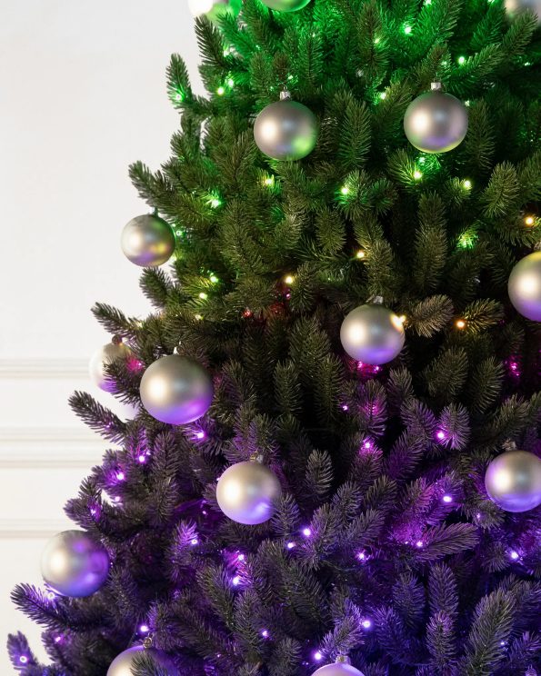 VWS-T_Vermont-White-Spruce_Twinkly_Closeup-20 Vermont White Spruce®
