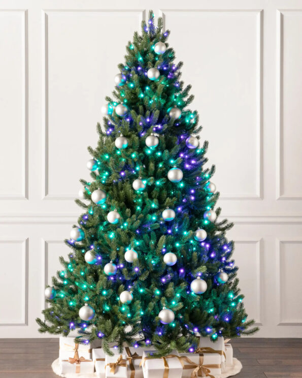 VWS-T_Vermont-White-Spruce_Twinkly_SSC Vermont White Spruce®
