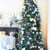 Vermont White Spruce®