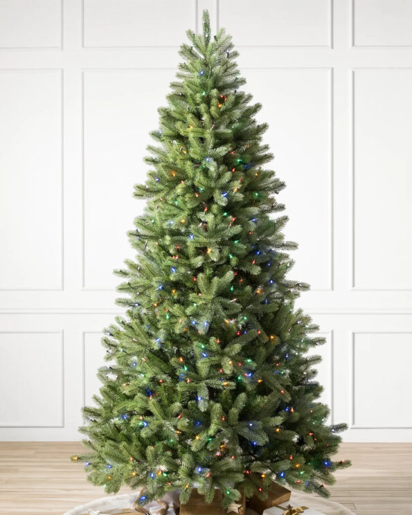 WOO-T_Woodland-Spruce_LEDM_SSC Woodland Spruce™