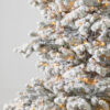 Frosted Yukon Spruce®