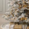 Frosted Yukon Spruce®